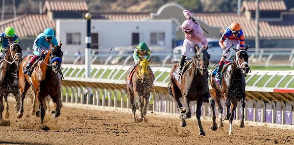 Sierra Leone, 2024 Breeders' Cup Classic, Chad Brown, Del Mar, America's Best Racing, horse racing, ABR